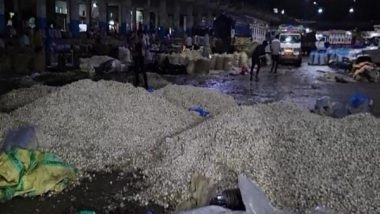 India News | Garlic Crops Damaged Due to Heavy Rainfall in Krishi Upaj Mandi in MP’s Mandsaur