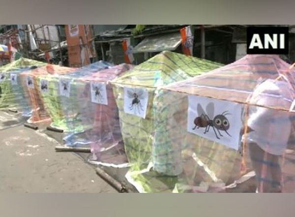 India News | Congress Holds Unique Protest with Mosquito Nets as Bengal Steps Up Efforts to Combat Dengue