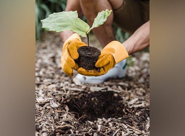 India News | Jammu Horticulture Department Conducts One Day Farmers’ Awareness Cum Training Programme