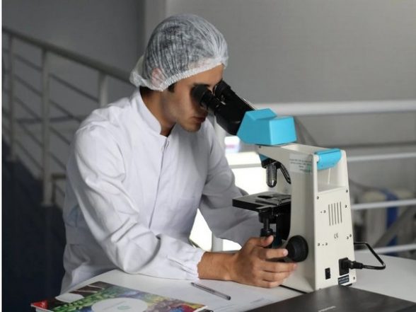 Health News | Do You Know Blocking Abnormal Stem Cell Signal During Aging Lessens Related Bone Loss? Study Finds - Vimarsana News