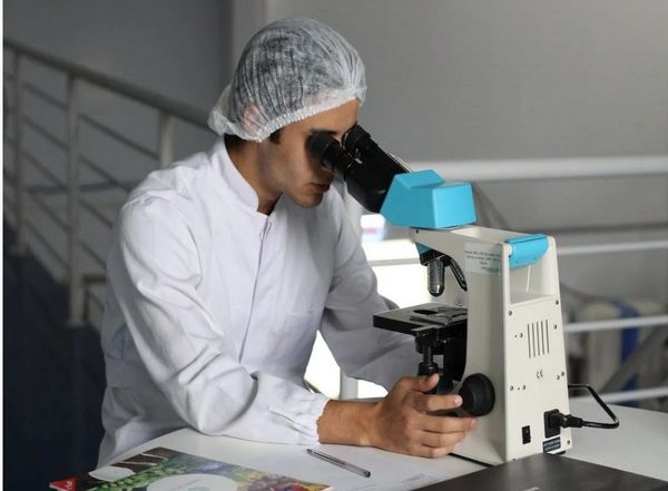 Health News | Do You Know Blocking Abnormal Stem Cell Signal During Aging Lessens Related Bone Loss? Study Finds