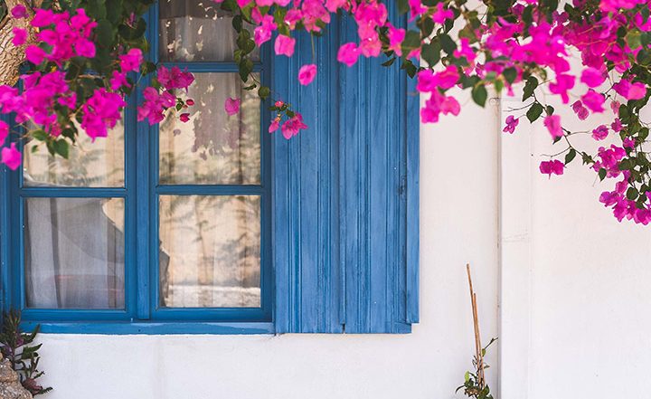 Best Balcony Plants To Transform Small Outdoor Area Into a Lush Haven