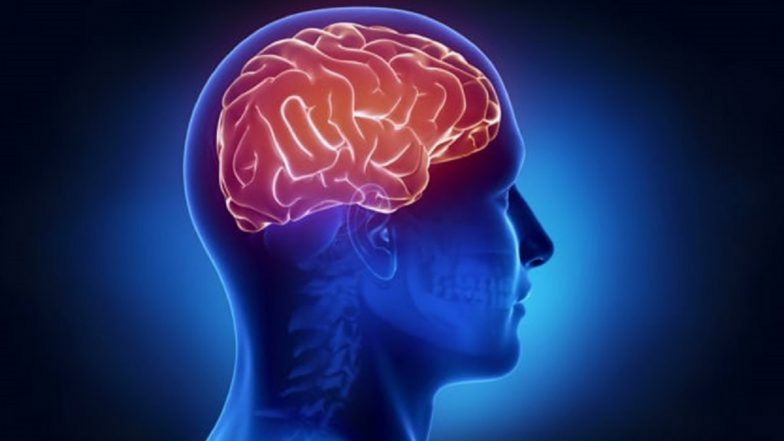 Moral Reasoning Displays Characteristic Patterns in Brain, Reveals Research