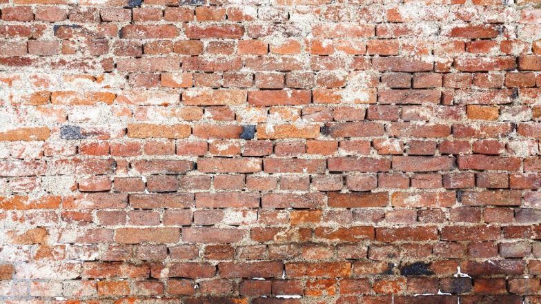 Uttar Pradesh: Government School Students Asked by Teacher To Carry Bricks for Construction Work in Muzaffarnagar (Watch Video)