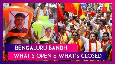 Bengaluru Bandh: Protest Over Cauvery Water Release; Schools To Remain Shut, Here’s What’s Open & What’s Closed