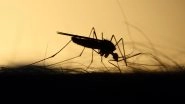 Dengue Outbreak in West Bengal: Man Takes Bag Full of Mosquitoes to Hospital in Purba Bardhaman