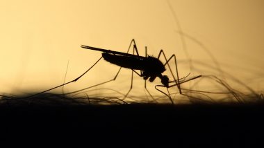 Dengue Outbreak in Kolkata: Alarming Rise in Dengue Cases in West Bengal City As Number of Affected Persons Increase by 1,012 in Last 10 Days