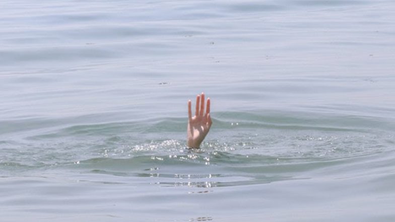 Madhya Pradesh: Two Indian Air Force Staffers Drown While Bathing in Waterfall in Betul