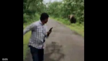 Elephant Attack in Maharashtra: Forest Department Employee Trampled to Death by Wild Elephant in Gadchiroli District While Making Video