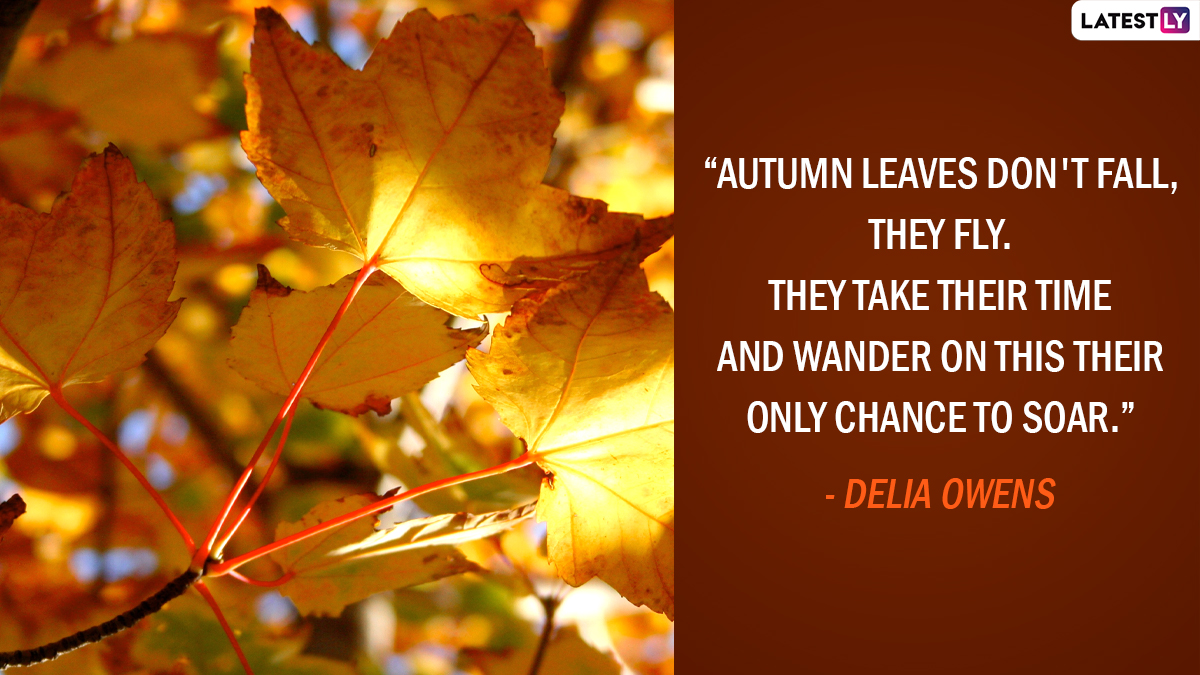 Happy Fall 2023 Wishes and First Day of Autumn Season Greetings Quotes