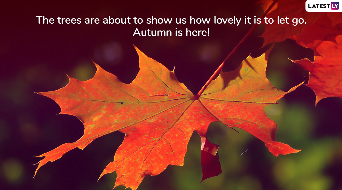 Happy Fall 2023 Wishes and First Day of Autumn Season Greetings Quotes