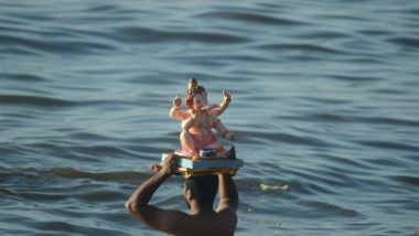 Ganesh Visarjan 2023: Two Noida Siblings Drown During Ganpati Idol Immersion in Delhi's Mayur Vihar Area