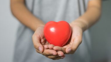 World Heart Day 2023: From Low Cholesterol Diet to Heart Checkups, Everything You Need To Keep in Mind To Prevent Cardiovascular Diseases
