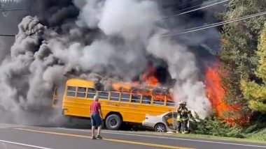 New York: One Dead, Two Others Injured After Car Crashes With Wayne Central School Bus in Webster, Videos Surface