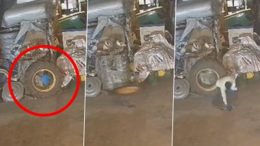 Andhra Pradesh Shocker: Small Kid Dies After Tire of Tractor Falls on Him While Playing in Krishna District, Disturbing Clip Surfaces