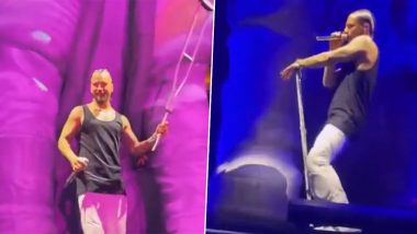 Maluma Defends Himself Onstage as Fan Throws Crutch at Him During Concert (Watch Video)