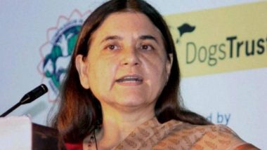 Maneka Gandhi Remarks on ISKCON: Major Row Erupts Over BJP Leaders’ ISKCON Is the ‘Biggest Cheat in Country’ Comments, Temple Body Denies Charge (Watch Video)