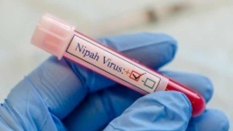 Nipah Virus in Kerala: Two Died of Virus in Kozhikode, Two Undergoing Treatment After Testing Positive, Says State Health Minister Veena George