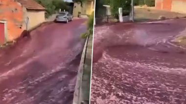 Red Wine Floods Portuguese Streets of Anadia After Tanks Exploded at a Local Winery (Watch Viral Video)