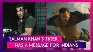 Tiger 3 Prelude: Salman Khan's Tiger Has A Message For Indians - Is He A Traitor Or Patriot?