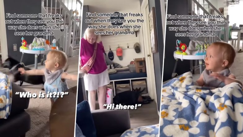 Toddler Screams in Excitement After Seeing Her Grandmother, Wholesome Video Goes Viral