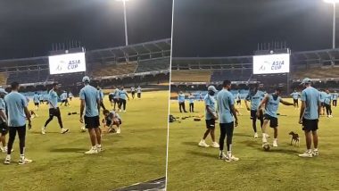 Virat Kohli and Other Indian Cricket Team Members Play With A Puppy During Practice Session Ahead of IND vs PAK Asia Cup 2023 Super Four Match, Video Goes Viral!