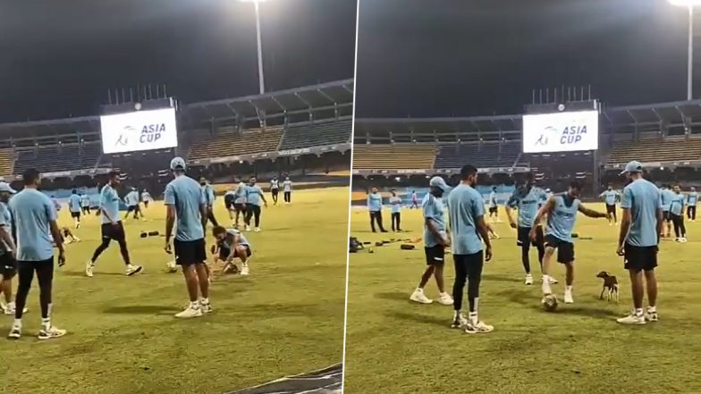 Virat Kohli and Other Indian Cricket Team Members Play With A Puppy During Practice Session Ahead of IND vs PAK Asia Cup 2023 Super Four Match, Video Goes Viral!