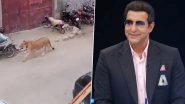Wasim Akram Shares Viral Video of Lion Attacking People on Karachi Streets, Asks &lsquo;How Come No One Is Talking About It?&rsquo;