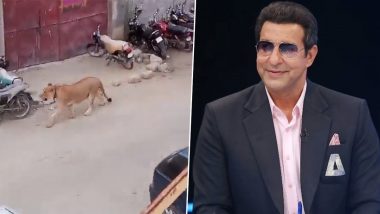 Wasim Akram Shares Viral Video of Lion Attacking People on Karachi Streets, Asks ‘How Come No One Is Talking About It?’