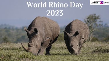 World Rhino Day 2023 Date and Significance: All You Need To Know About the Day That Raises Awareness About the Protection and Conservation of Rhinoceros