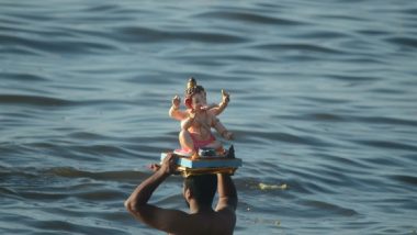 Andhra Pradesh: Two Drown in Krishna River in Bapatla District During Ganesh Idols Immersion