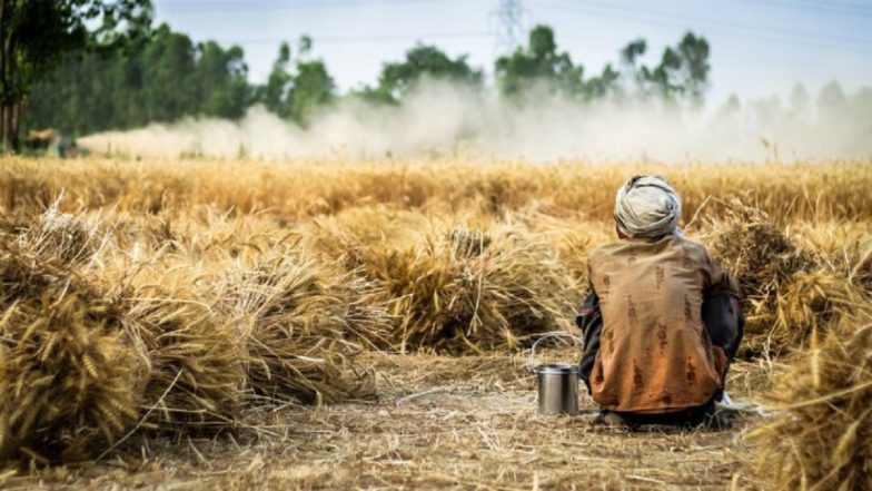 Uttar Pradesh Shocker: 52-Year-Old Farmer Commits Suicide Over Dispute With Wife in Kaushambi