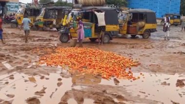 Andhra Pradesh: Farmers in Kurnool and Nandyal Districts Dump Tomatoes on Roads As Price Crashes to Rs 3 per Kg in Wholesale Market