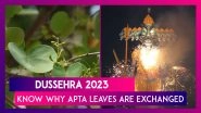 Dussehra 2023: Know Why Apta Leaves Or &lsquo;Sona&rsquo; Are Exchanged On Vijayadashami Or Dasara