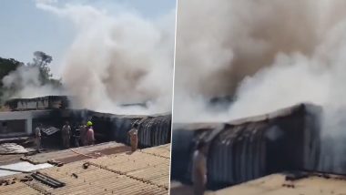 Chandigarh Fire Video: Massive Blaze Engulfs Trading Company, No Casualties Reported