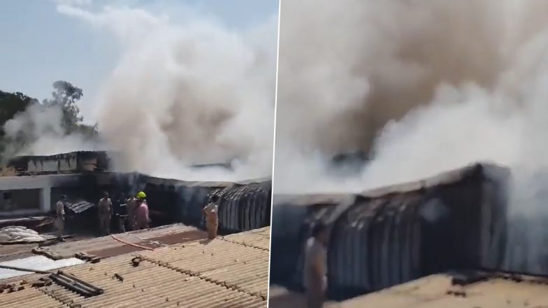 Chandigarh Fire Video: Massive Blaze Engulfs Trading Company, No Casualties Reported