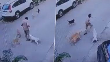 Dogs Attack Postman in Mumbai's Powai Area, Security Guard Shooes Canines Away; CCTV Video of Dog Attack Surfaces