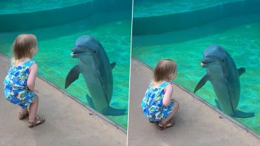 Little Girl Chats With Dolphin in the Most Adorable Way, Heartwarming Video Surfaces Online (Watch)