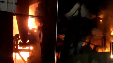 Maharashtra Fire Video: Blaze Erupts at Maharashtra Dying Factory in Bhiwandi Due to Boiler Explosion, No Casualties Reported