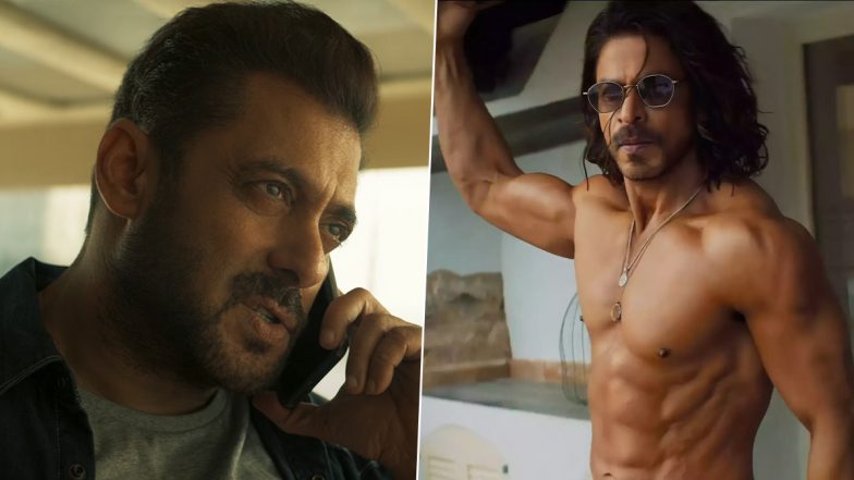 Tiger 3 Trailer: Fans Believe Salman Khan's Tiger Is Calling Shah Rukh ...