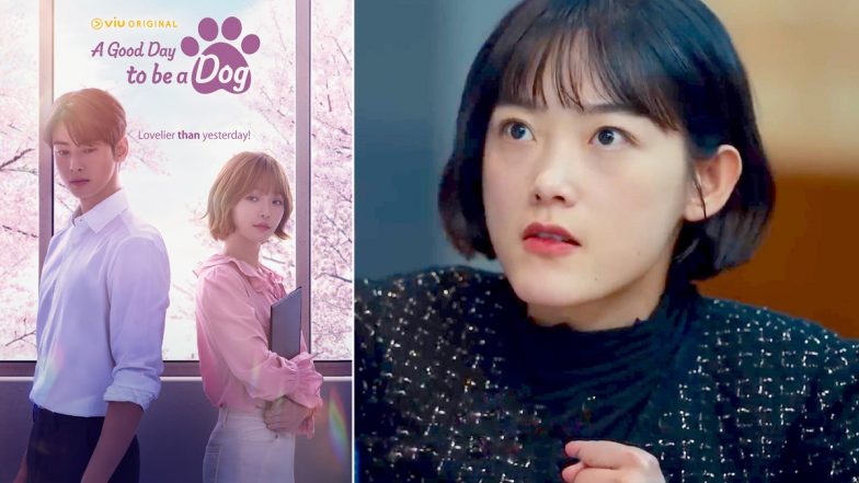 From Cha Eun Woo-led A Good Day To Be A Dog to Bae Suzy starrer Doona – 8  K-dramas to watch in October 2023 - Bollywood Hungama