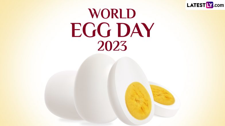 1 World Egg Day 2023 784x441 