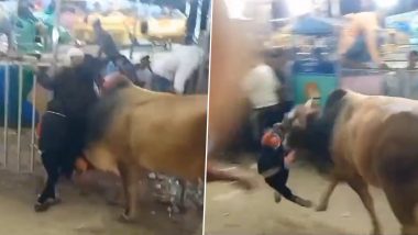 Bull Attack in Uttar Pradesh Video: Stray Bull Attacks People After Entering Ramlila Fair in Hapur, Woman and Kid Injured