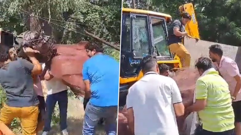 Mahatma Gandhi Statue Made From Scrap Installed at Selfie Point in Meerut, Authorities Later Remove It After Public Outrage Over Its 'Horrifying' Appearance (Watch Video)