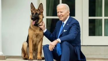 'Commander' Removed From White House: US President Joe Biden's German Shepard Dog No Longer in WH After Multiple Biting Incidents