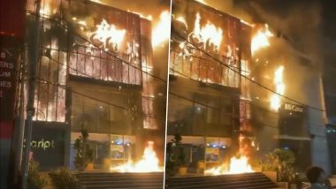 Delhi Fire Video: Massive Blaze Erupts at Furniture Shop in Kirti Nagar, 17 Fire Tenders Deployed