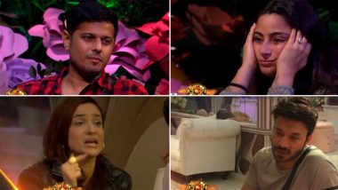 Bigg Boss 17: Couples Neil Bhatt-Aishwarya Sharma and Ankita Lokhande-Vicky Jain Find It Difficult to Survive (Watch Video)
