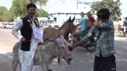 Madhya Pradesh Assembly Election 2023: Independent Candidate Imran Khan Goes To File Nomination Papers From Rajnagar Constituency Sitting on a Donkey (See Pic)
