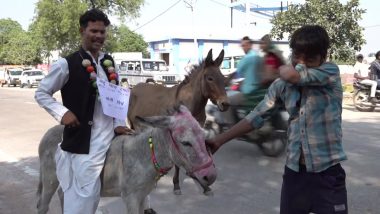 Madhya Pradesh Assembly Election 2023: Independent Candidate Imran Khan Goes To File Nomination Papers From Rajnagar Constituency Sitting on a Donkey (See Pic)