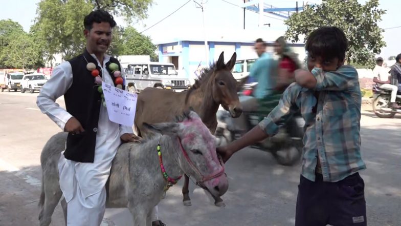 Madhya Pradesh Assembly Election 2023: Independent Candidate Imran Khan Goes To File Nomination Papers From Rajnagar Constituency Sitting on a Donkey (See Pic)